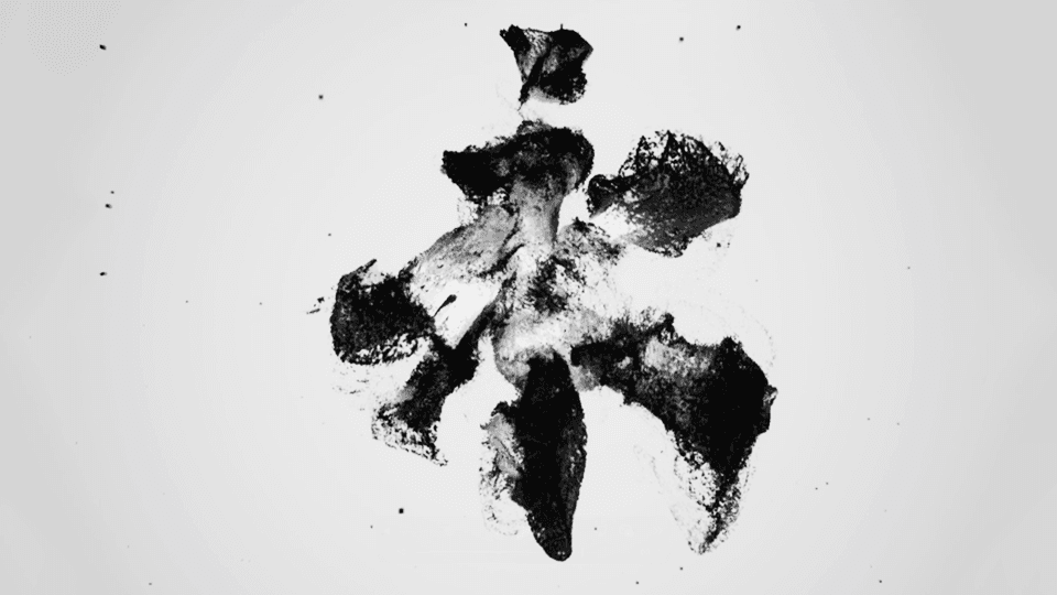 The Ninth Year of Yonghe - A Digital Ink Vision